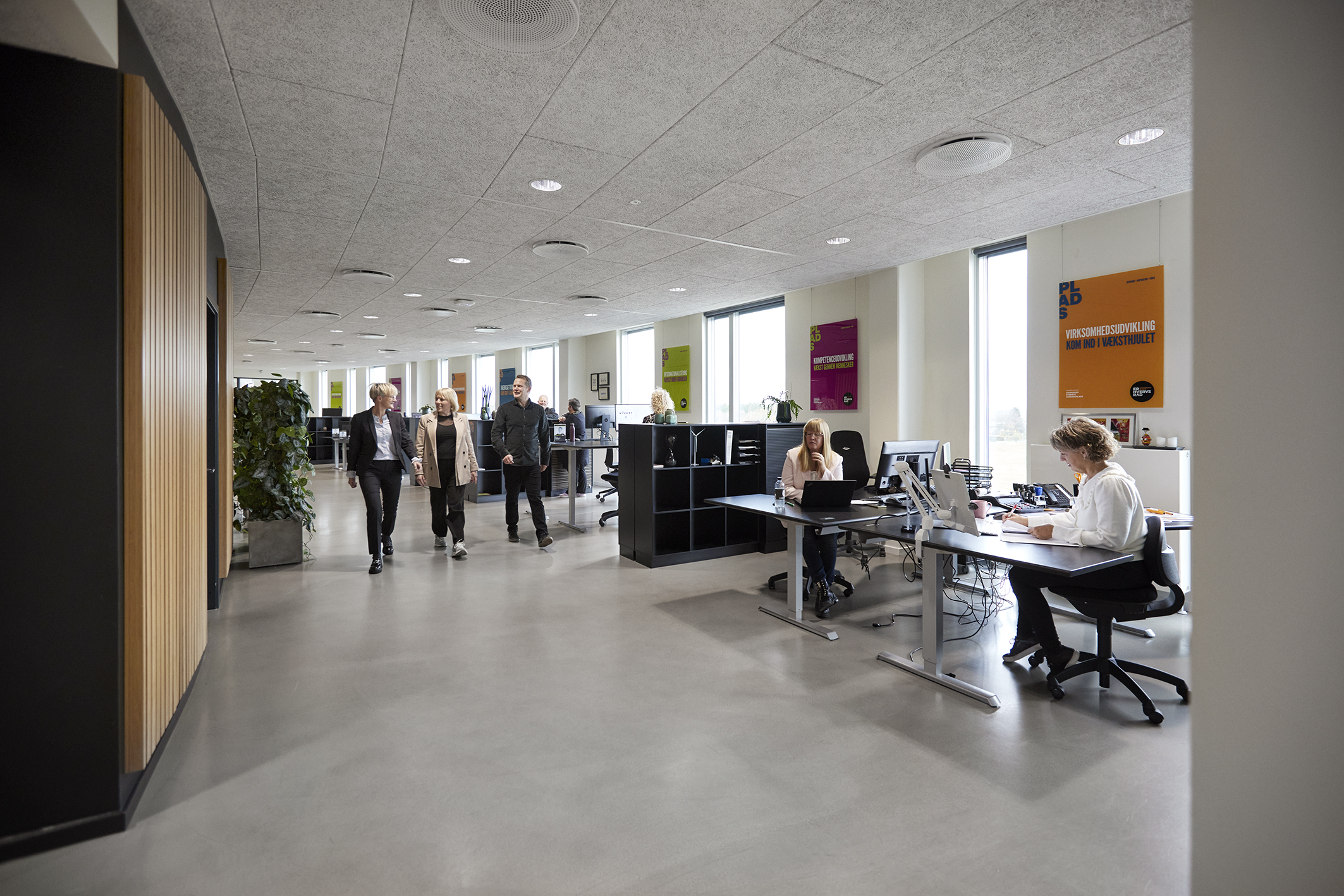 Ringkøbing-Skjern Erhvervsråd Kontor